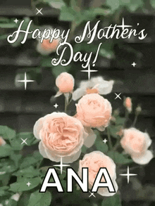 a happy mother 's day greeting card with roses and the name ana .