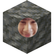 a minecraft block with a person 's face coming out of it