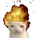 a white cat with an explosion in the background .