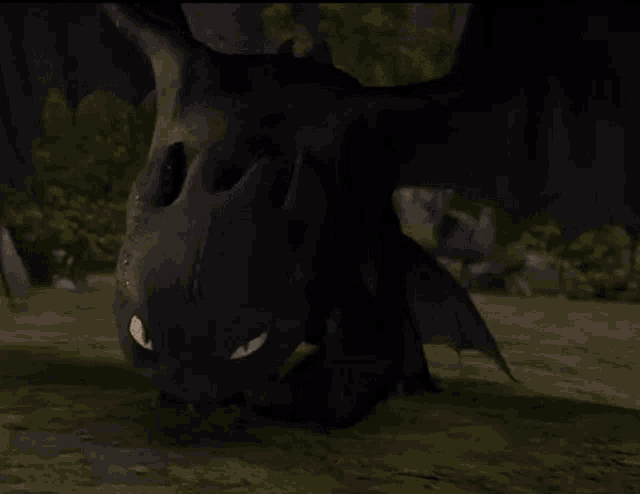 [Image: toothless-how-to-train-your-dragon.gif]