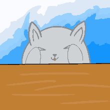 Cute Clap GIF - Cute Clap Cat GIFs