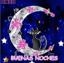 a picture of a cat on a crescent moon with the words buenas noches