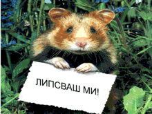 Miss You липсвашми GIF - Miss You липсвашми GIFs