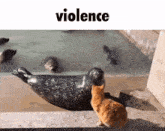 Jojother Violence GIF - Jojother Violence Seal GIFs