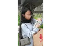 a woman holding a small white cat next to a brown bag that says trends