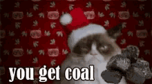 You Get Coal Grumpy Cat GIF