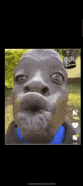 a close up of a man making a funny face with a blue shirt .