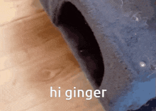 Hi Ginger GIF - Hi Ginger GIFs