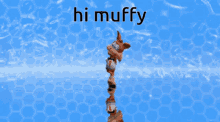 Hi Muffy Bubsy GIF - Hi Muffy Bubsy GIFs