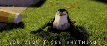 You Didnt See Anything GIF - Madagascar Penguins Dayofpenguin GIFs