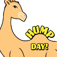Happy Hump Day Wednesday Is Hump Day Sticker