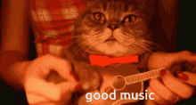 Music Good Music GIF - Music Good Music Cat GIFs