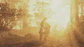 a man carrying a bear in a foggy forest with the sun shining through the trees