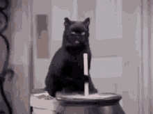 GIF