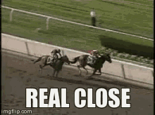 Horseracing Belmont GIF - Horseracing Belmont GIFs