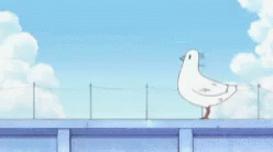 Anime Bird GIF  Anime Bird Cute  Discover  Share GIFs