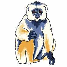 lemur sifaka diademed sifaka