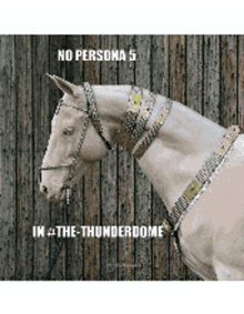 horse no politics persona5