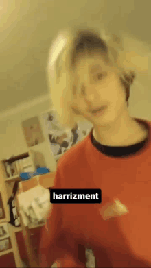 Harizzment GIF - Harizzment GIFs