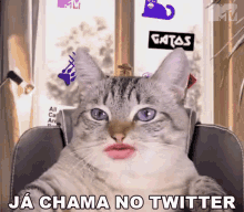 Ja Chama No Twitter Mtv Brasil GIF - Ja Chama No Twitter Mtv Brasil Convida GIFs