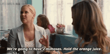 Trainwreck Amy Townsend GIF - Trainwreck Amy Townsend Were Going To Have2mimosas GIFs