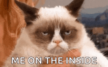 Grumpy Cat Not In The Mood GIF - Grumpy Cat Not In The Mood Grouchy GIFs