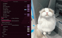 a cat with its eyes closed next to a computer screen that says " enemies "