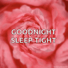 Goodnight Sleep Tight GIF - Goodnight Sleep Tight Flower GIFs