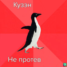 a black and white penguin is on a red background with the words kuzehn he proteb below it