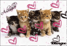 Kittens GIF - Kittens GIFs