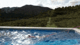 Swim Swimming GIF - Swim Swimming Pool GIFs