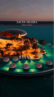 an advertisement for saudi arabia shows a swimming pool surrounded by palm trees