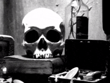 Skull Human-skull-prop GIF - Skull Human-skull-prop Spooky-image GIFs