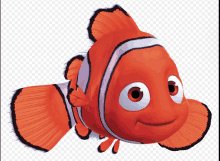 Nemo Fish GIF - Nemo Fish GIFs