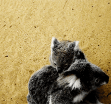 Unconditional Love GIF - Unconditional Love Soulmate GIFs