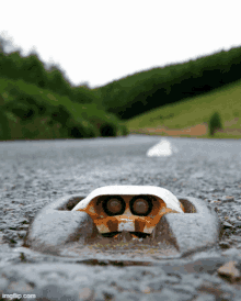 Light Dome Road Rubber Cats Eye Road Stud GIF - Light Dome Road Rubber Cats Eye Light Dome Cats Eye GIFs