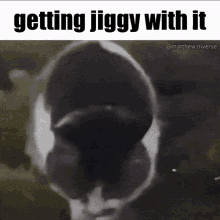 Jiggy Getting Jiggy With It GIF