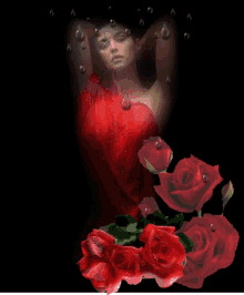 Raindrops Roses GIF - Raindrops Roses Red GIFs