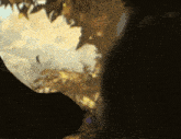 a blurred image of a person standing in the dark