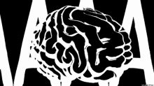 brain black and white