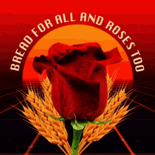 Bread And Roses Bread GIF - Bread And Roses Bread Roses GIFs