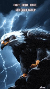 a bald eagle with lightning behind it and the words " fight fight fight red eagle group "