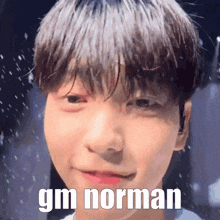 Gm Norman Good Morning Norman GIF - Gm Norman Gm Norman GIFs