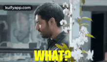 what%3F nivin gif what question