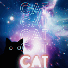 Blackcat Rainbowcattext GIF
