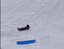 sled snow jump random girl flying through the snow into a ditch
