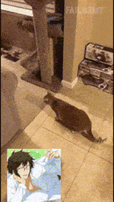 a picture of a cat and a picture of a man with failarmy written on the bottom