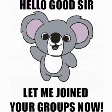 Let Me Join Koala GIF - Let Me Join Koala GIFs