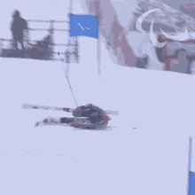 Sliding Down Alpine Skiing GIF