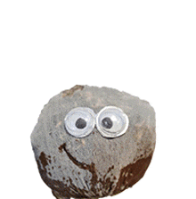 a hedgehog made out of a coconut with googly eyes and a black beak